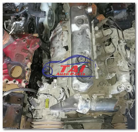 Un buon prezzo. Buona condizione 4D30 3 TON Mitsubishi Engine Spare Parts in linea