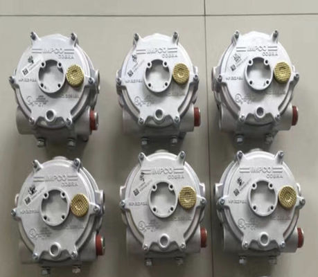 Prezzo buono Valvola di riduzione della pressione del regolatore del carrello elevatore Lpg TS16949 in linea